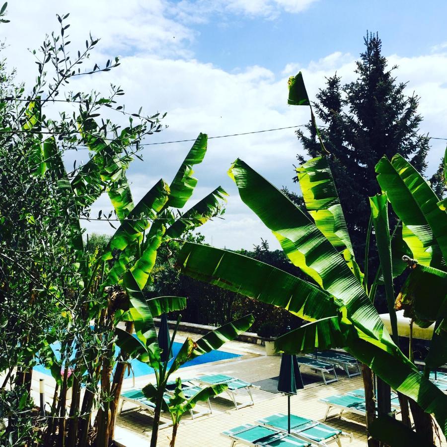 Agriturismo Corte Bozzini Villa Бардолино Екстериор снимка