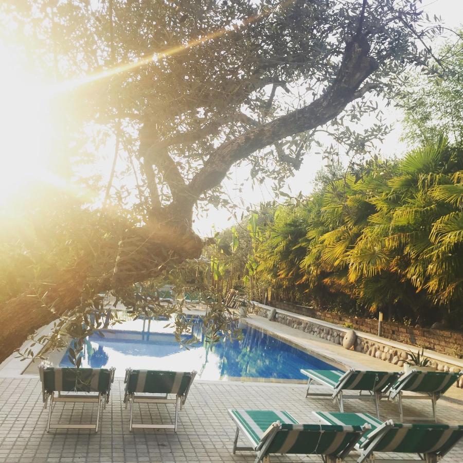 Agriturismo Corte Bozzini Villa Бардолино Екстериор снимка